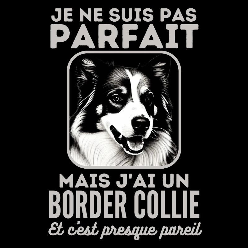 Pas parfait mais j ai un border collie 1