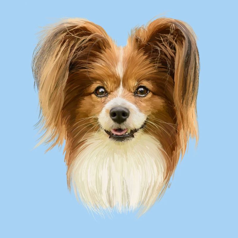Papillon