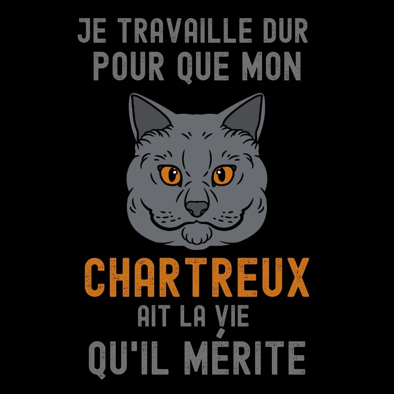 Chat chartreux