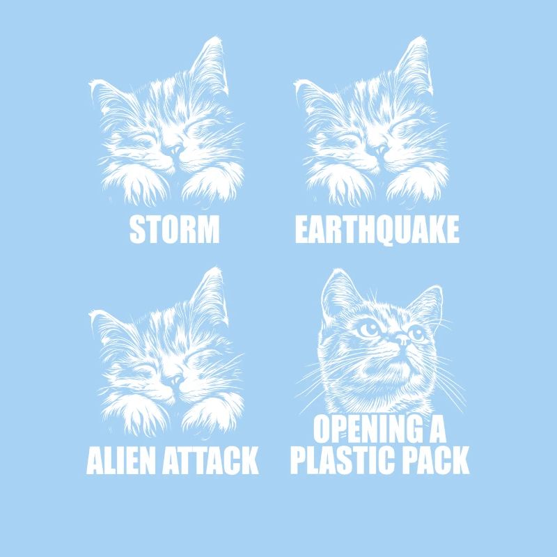 Cat - selective perception - saying