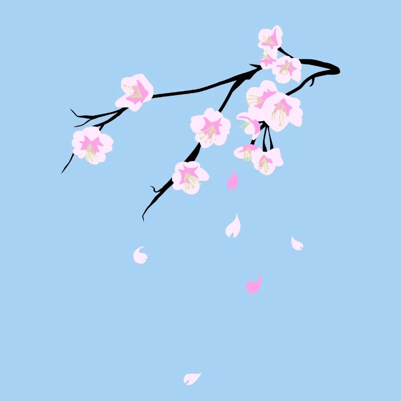 Cherry Blossoms