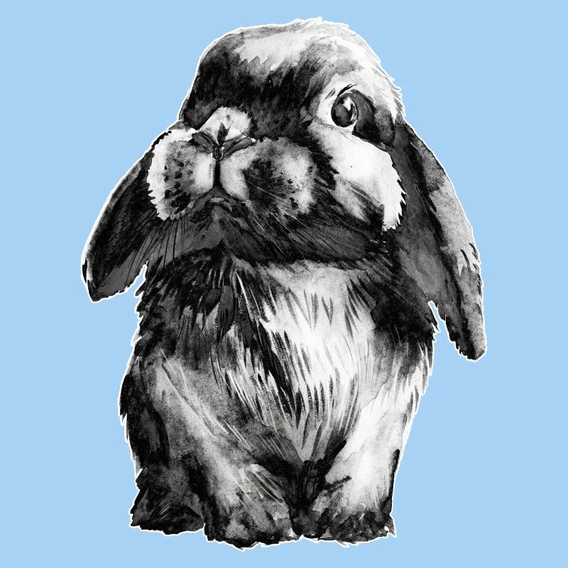 Rabbit Schlapohr