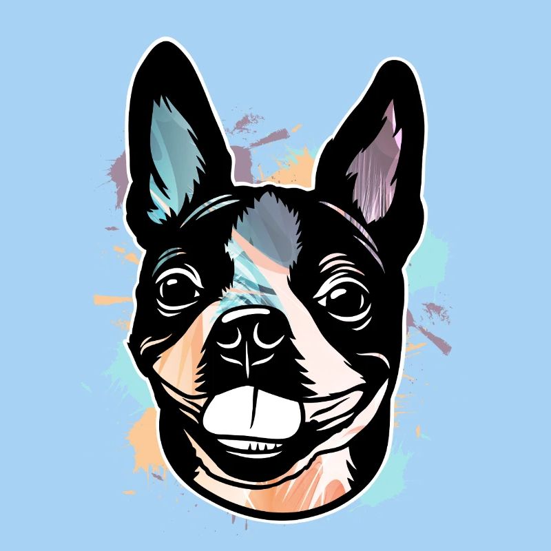 Boston Terrier