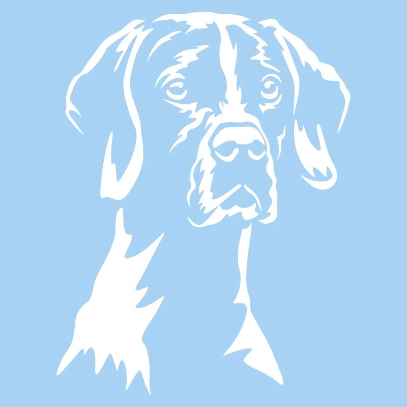 English Pointer "Black Edition"