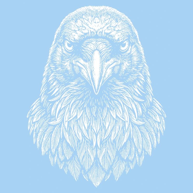 Aviator Eagle Head Line Art