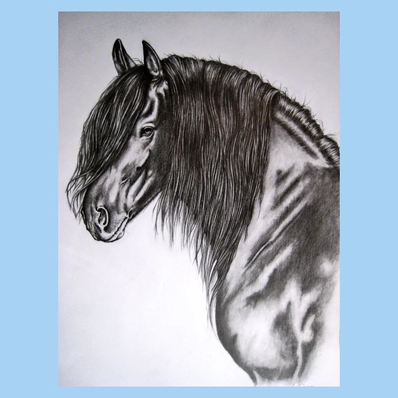 Friese Portrait