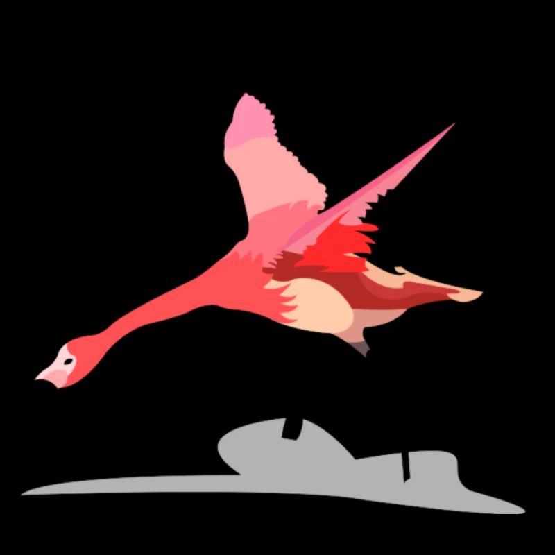 flamant