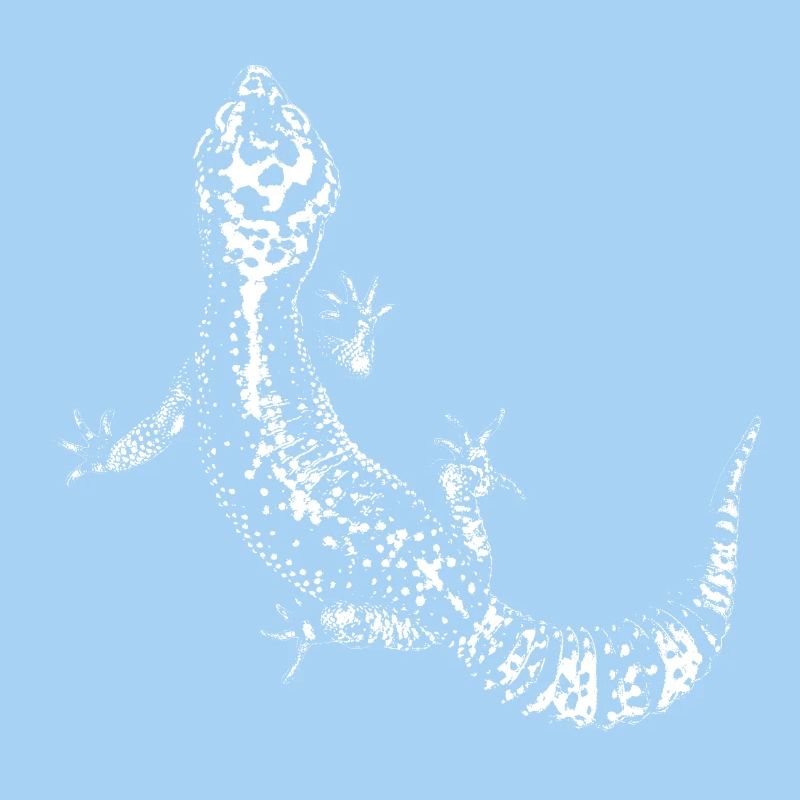 Gecko / Leopard gecko