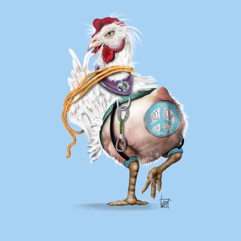 Crazy chicken