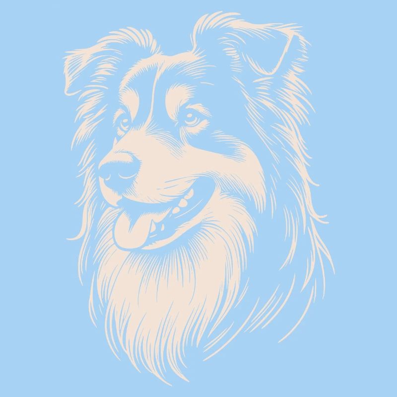 Australian Shepherd Features