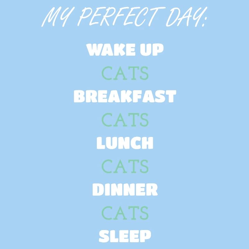 Conception de routine quotidienne de chat fantaisiste