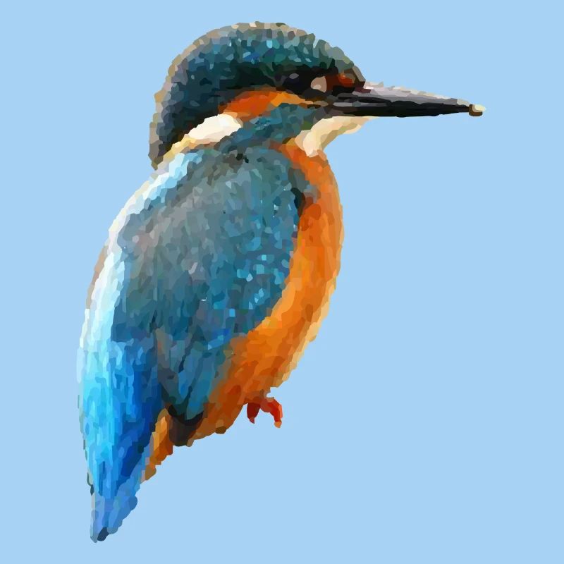 bird