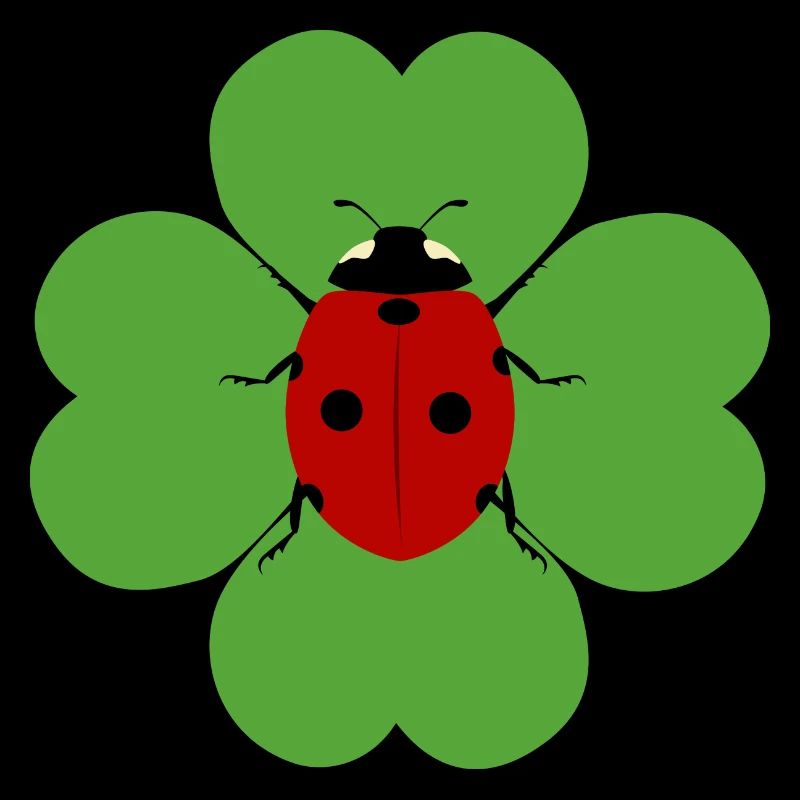 Kleeblatt Marienkäfer