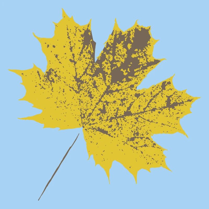 Yellow maple leaf