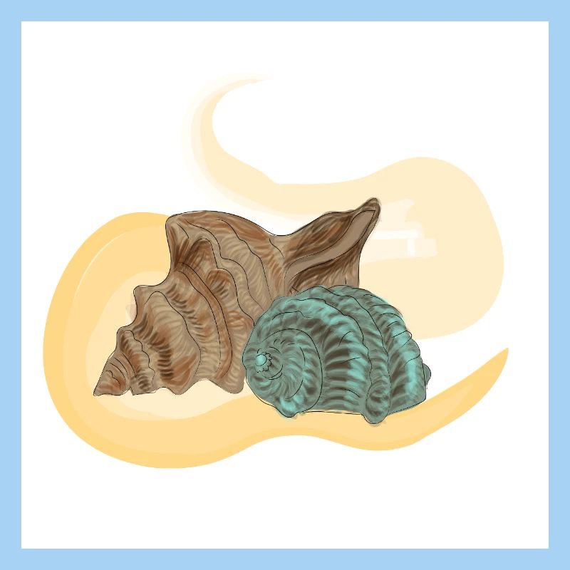 Lambi de mer
