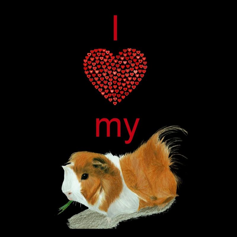 J'aime mon cochon de Guinée