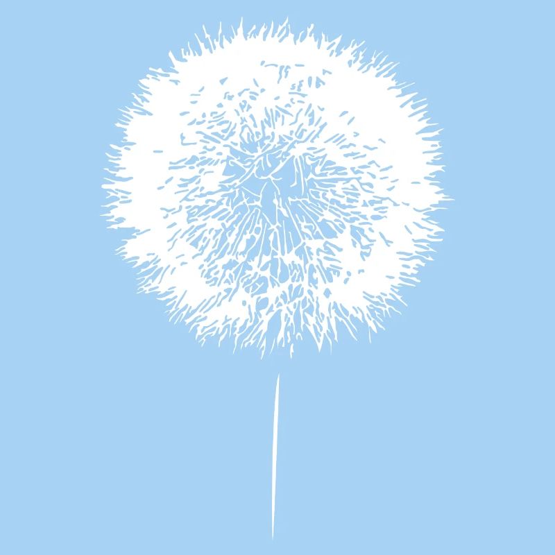 Löwenzahn Pusteblume Dandelion Samen