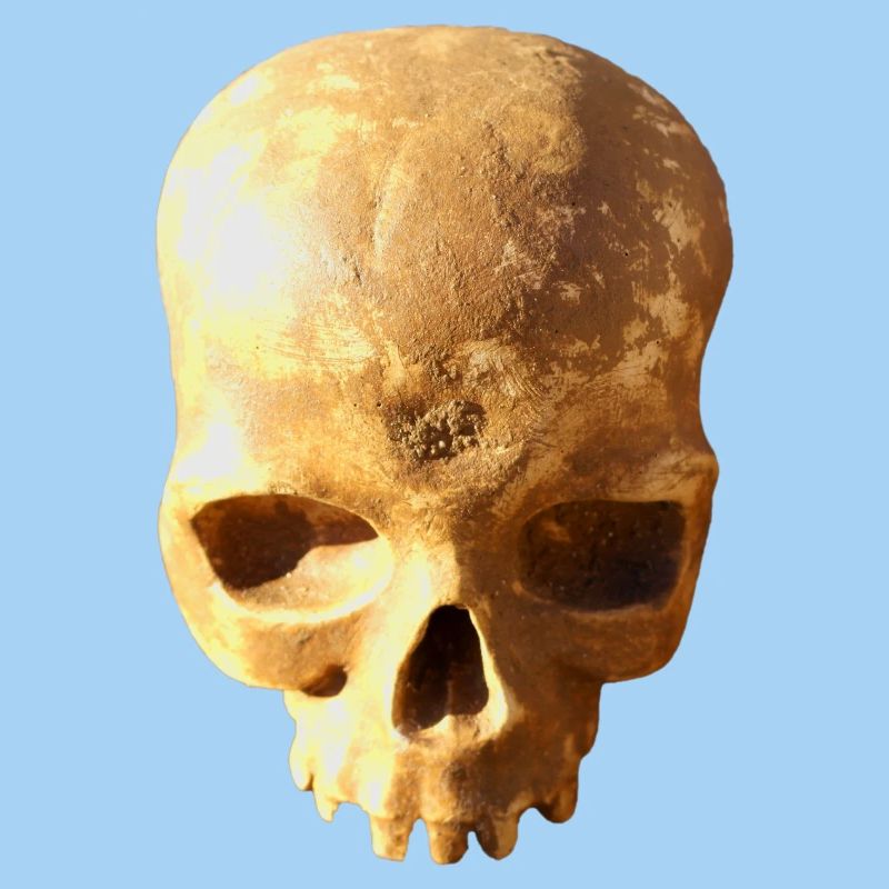 Schädel-Hintergrund