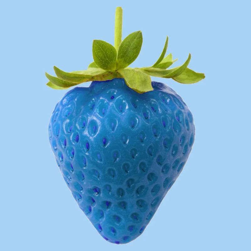 Blue Strawberry