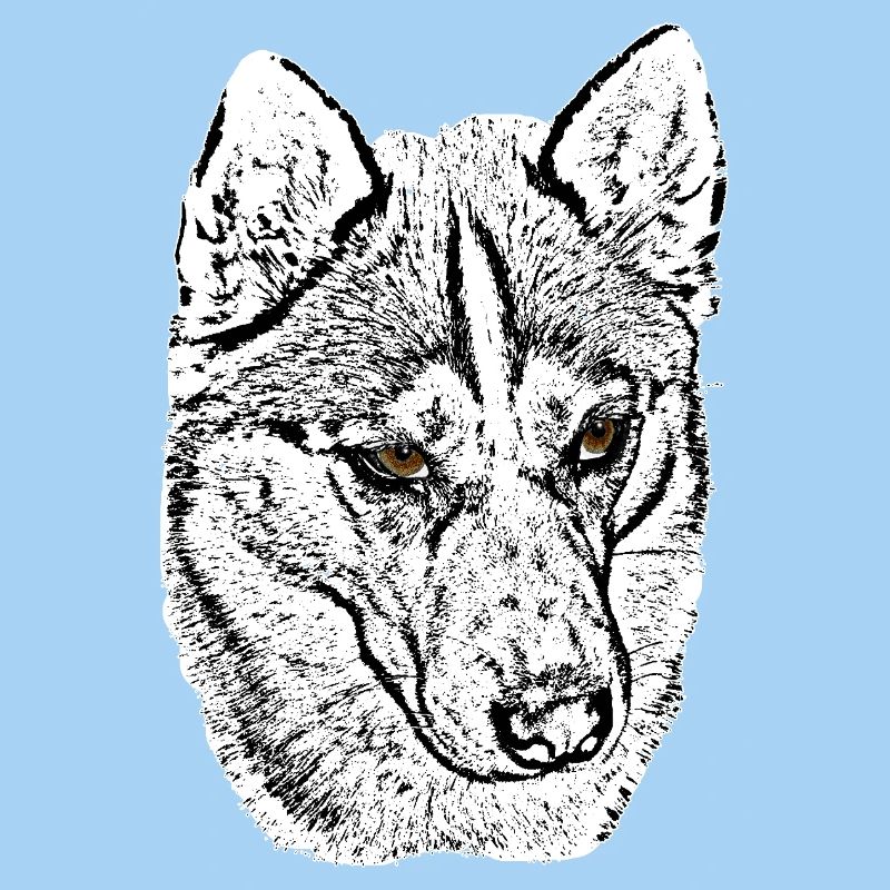 Wolf Head Husky Line Drawing Brown Eyes