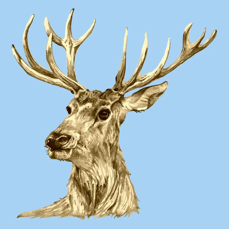 Hirsch