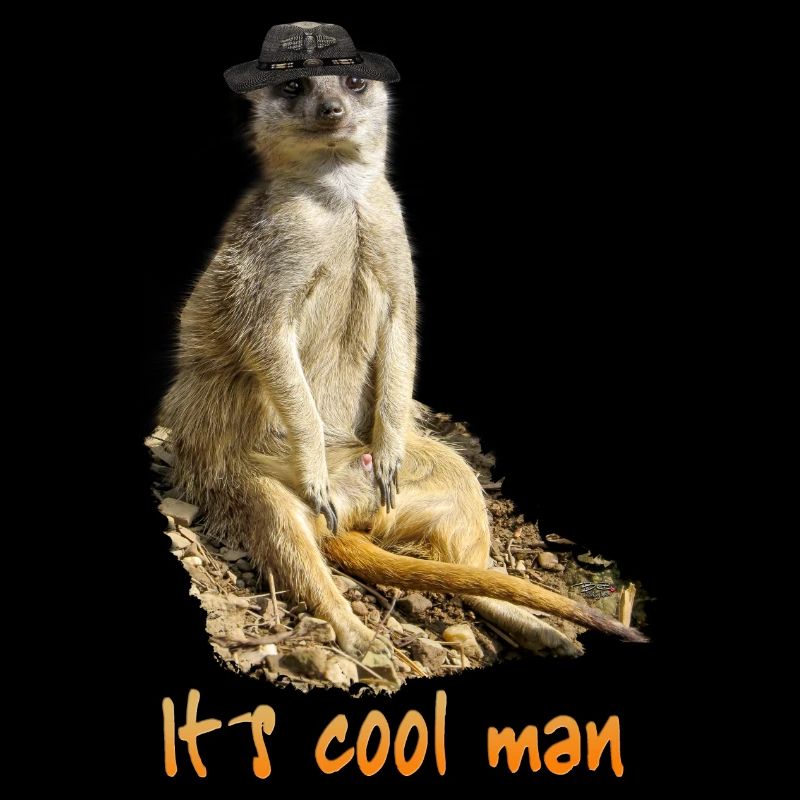 It´s cool man