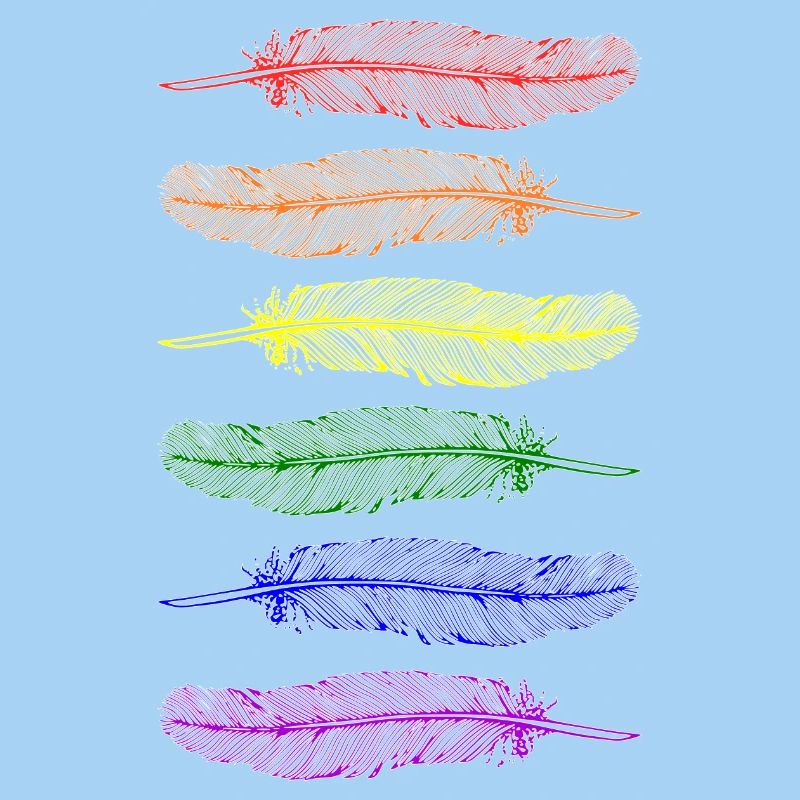 Feathers Rainbow