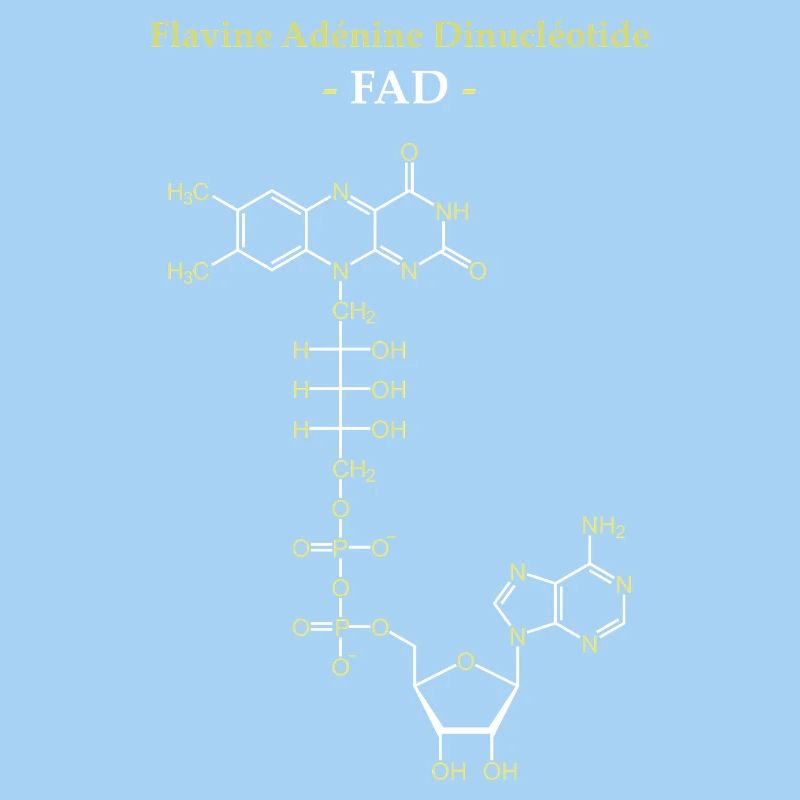 ADF Flavin Adenine Cofactor