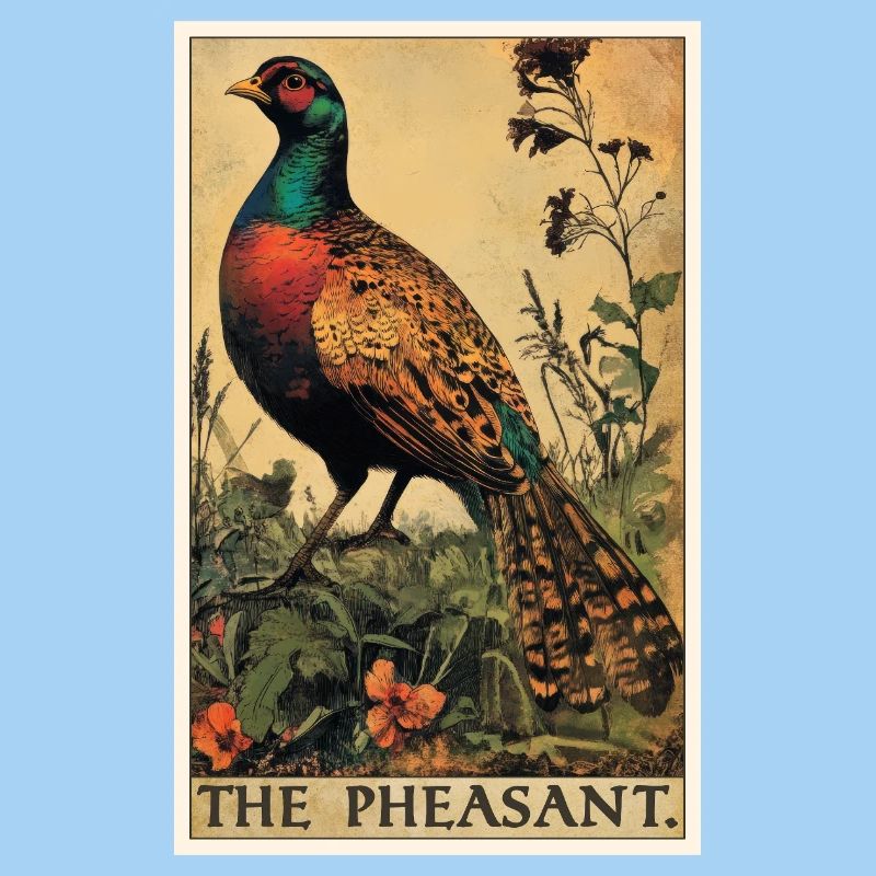 Pheasants Pheasant