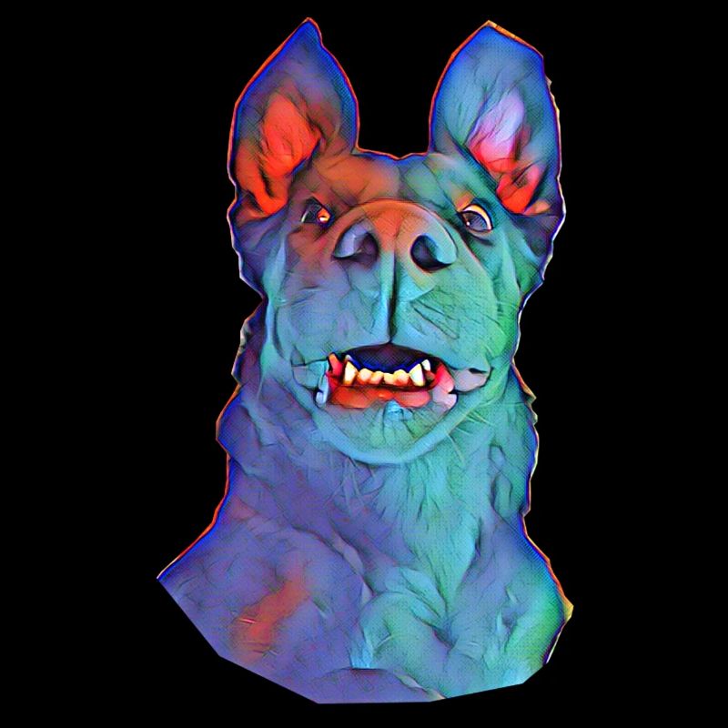 Hund