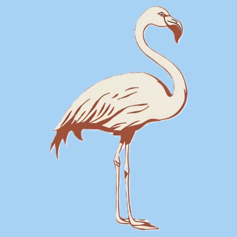 Flamingo Malerisch