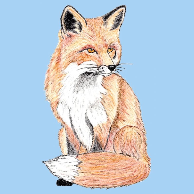 Kleiner Waldfuchs - ein sanfter Begleiter