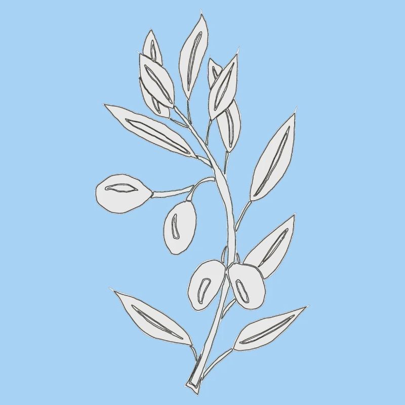 olive grau