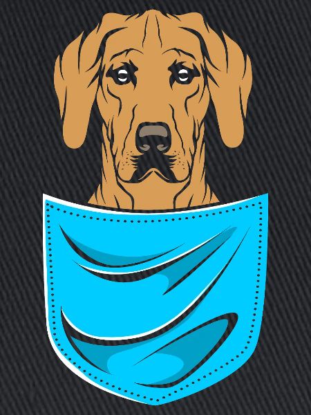Rhodesian Ridgeback