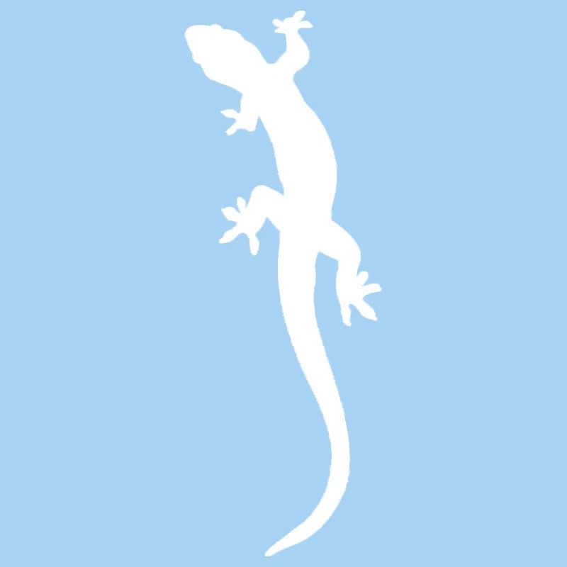 Lizard Illustration Gecko