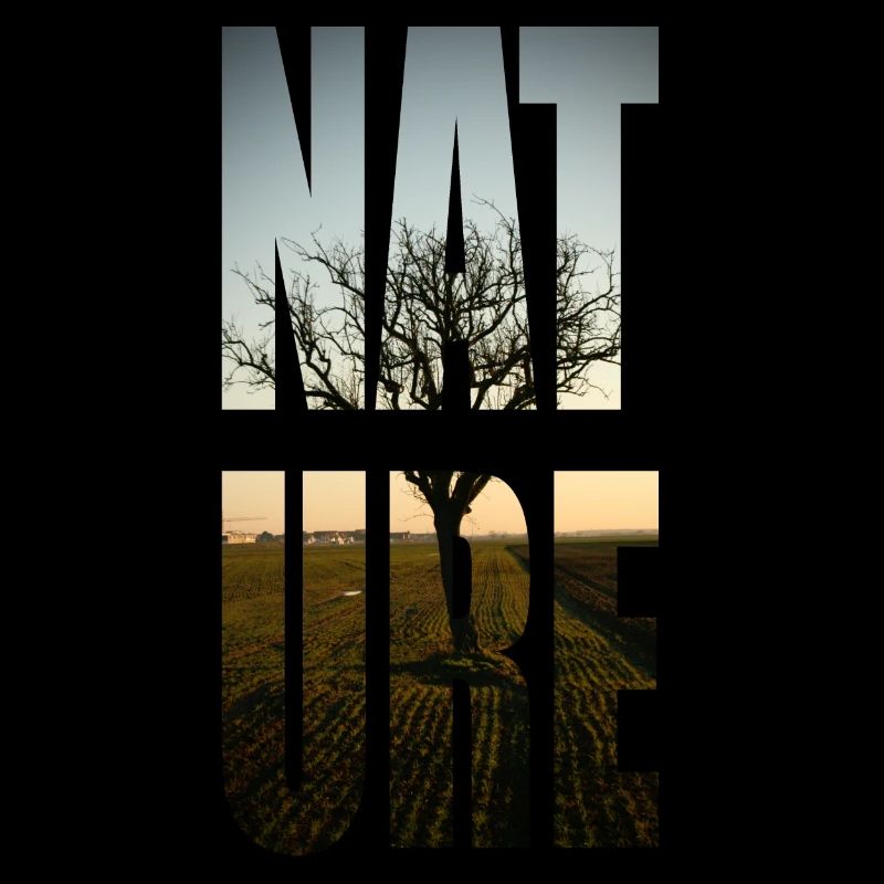 nature n ° 1