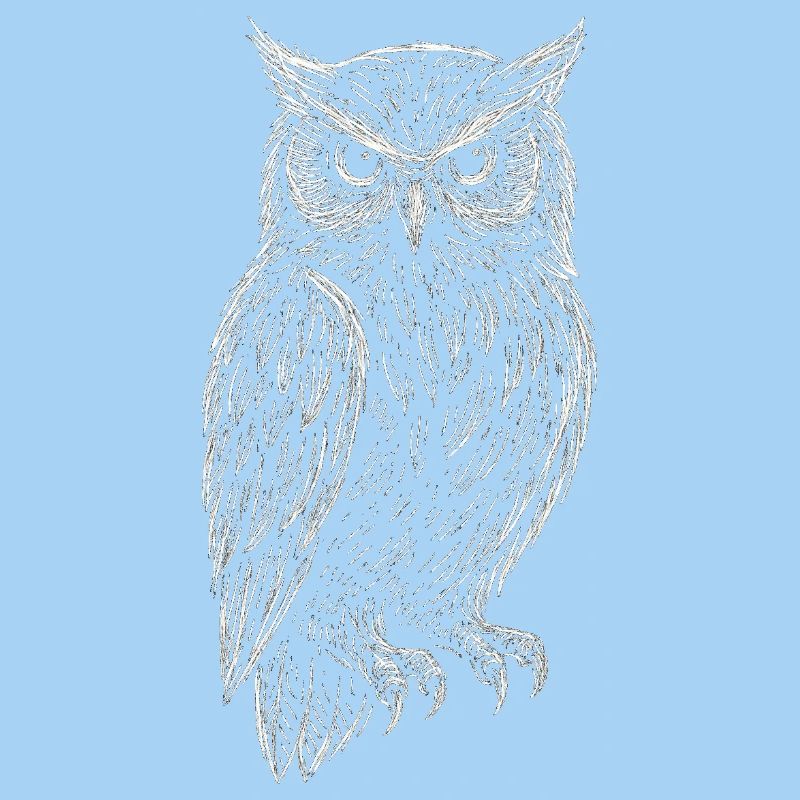 Sketchy Eule – Weisheit der Nacht