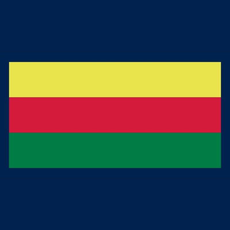 lithuania flag