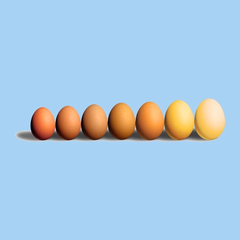 Eier
