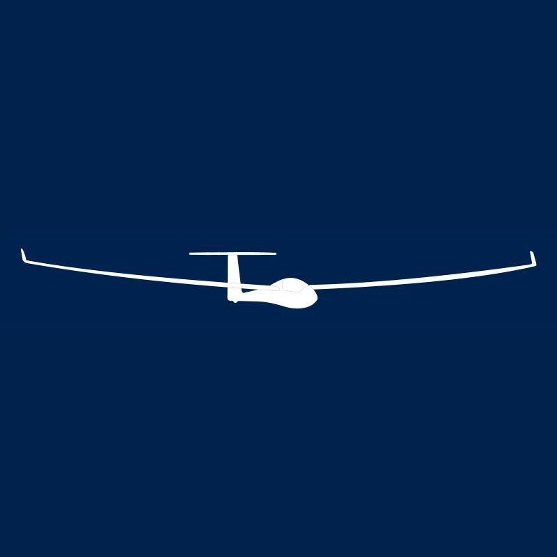 soaring pilot