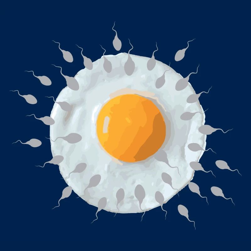 Œuf du petit-déjeuner