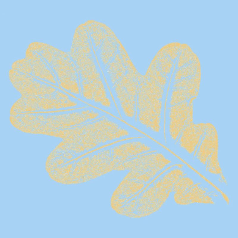 Blatt - Eiche / Botanik & Natur 