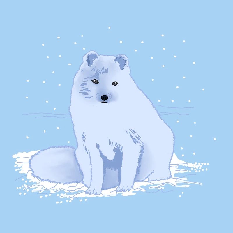 Polarfuchs im Schnee