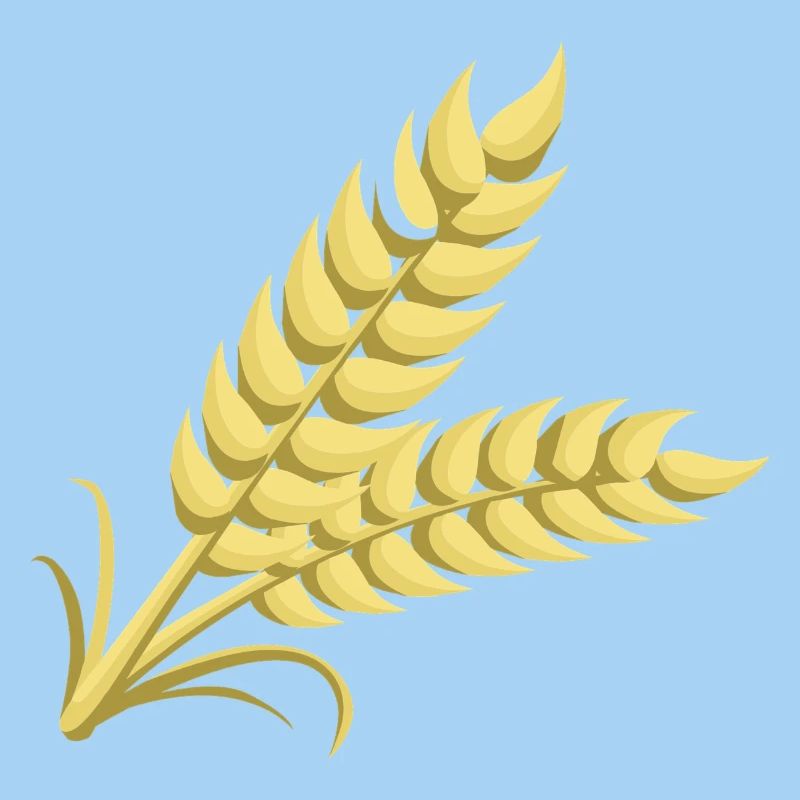 wheat