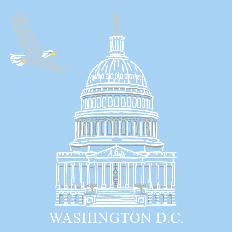 Washington D.C., Capitol Structure, Bald Eagle