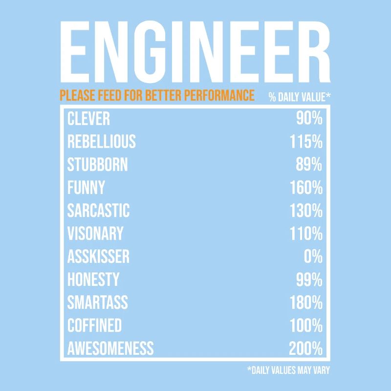 Engineer Daily Values Funny Engineer