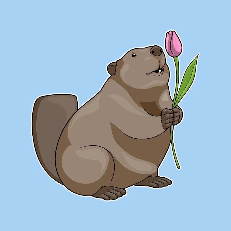Beaver Tulip Flowers