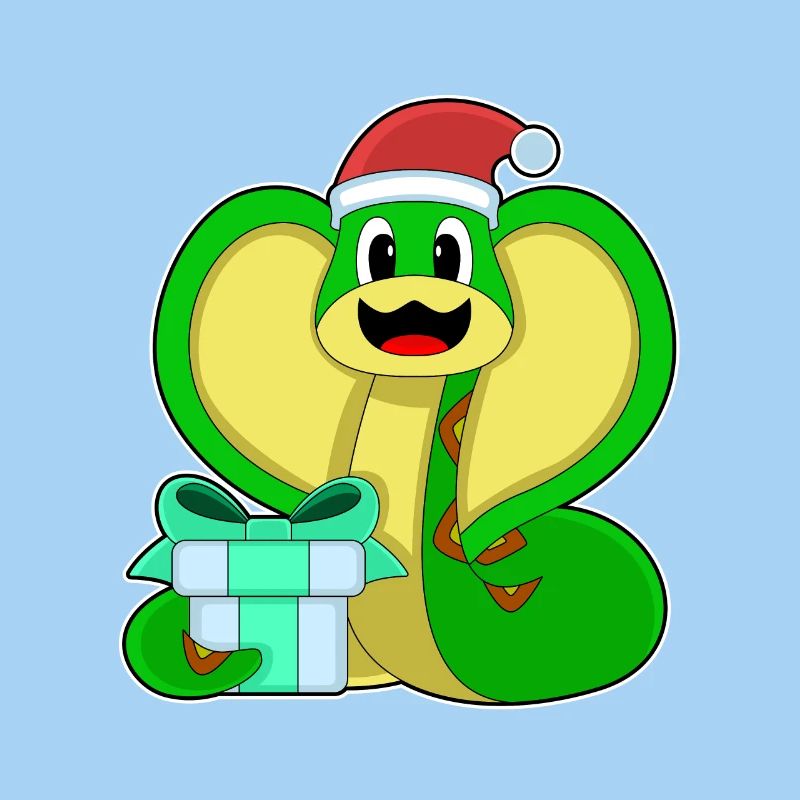 Snake Christmas Package