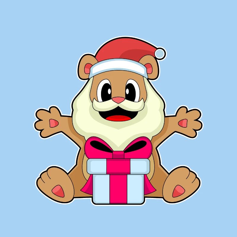 Bear Christmas Package