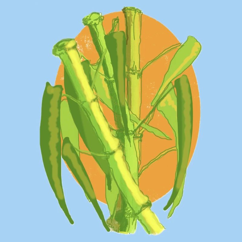 Bamboo Botanical Burst